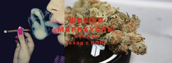 молекула духа Алзамай