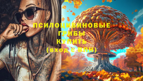 бошки Нефтегорск