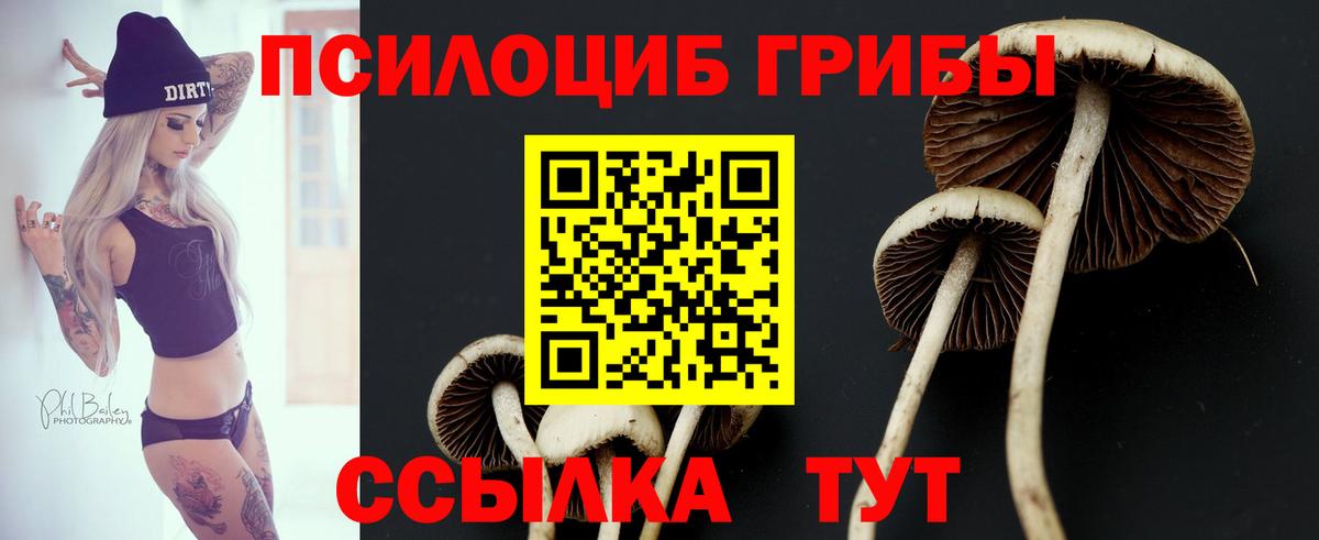 Галлюциногенные грибы Cubensis Магнитогорск