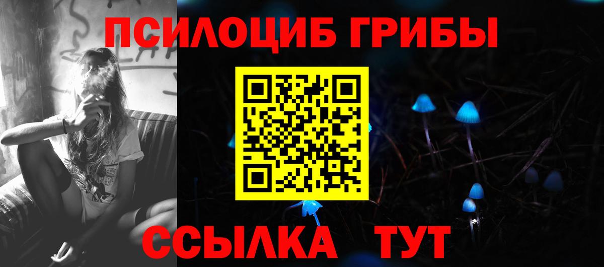 Псилоцибиновые грибы MAGIC MUSHROOMS  Вход с VPN  Магнитогорск 